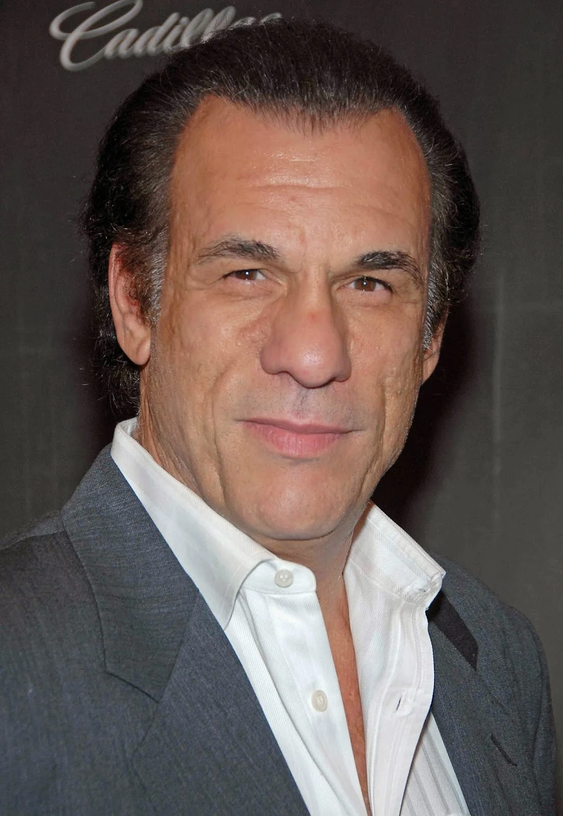 Robert Davi The Action Hero Wiki Fandom