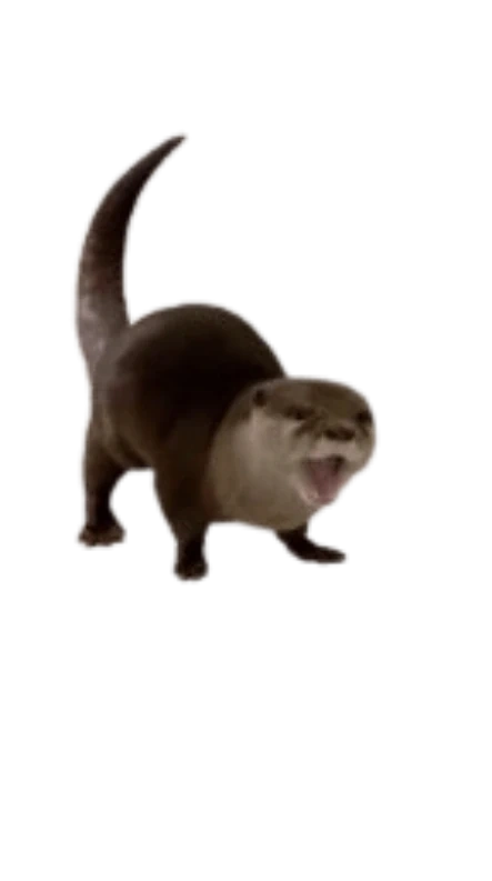 Tarka the Otter | The Adventures of the Gladiators of Cybertron Wiki