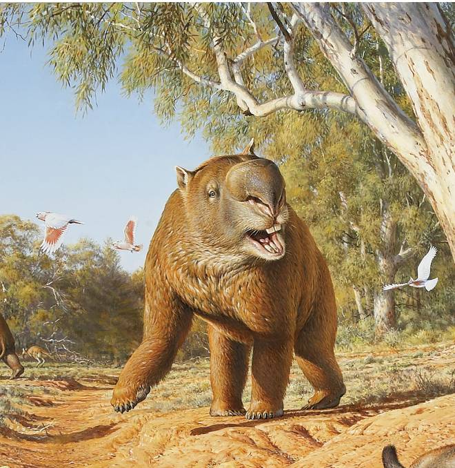 Diprotodon | The Age of Trilogy Wiki | Fandom