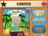 Djokovic8