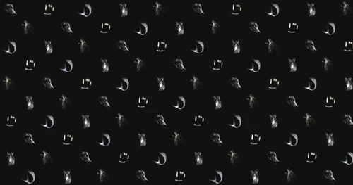 The Alpha's Mate Wiki