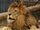 Barbary Lion