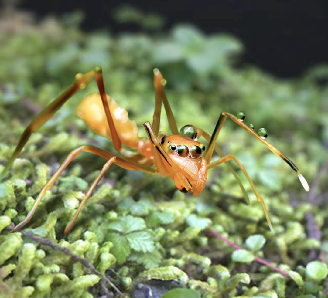 Golden Venom The Ants Underground Kingdom Wiki Fandom