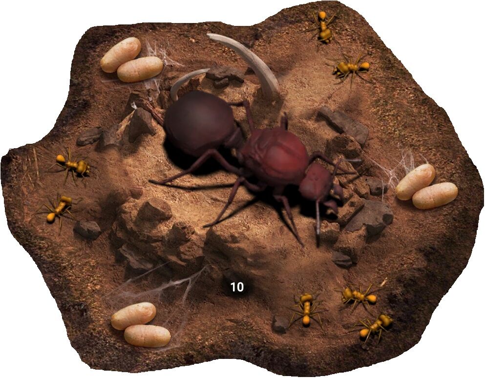 The ants best sale