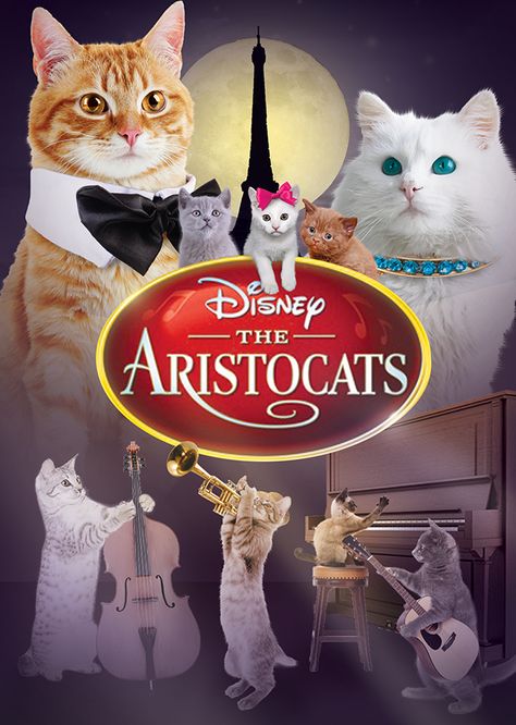 The Aristocats live action remake The Aristocats Wiki Fandom