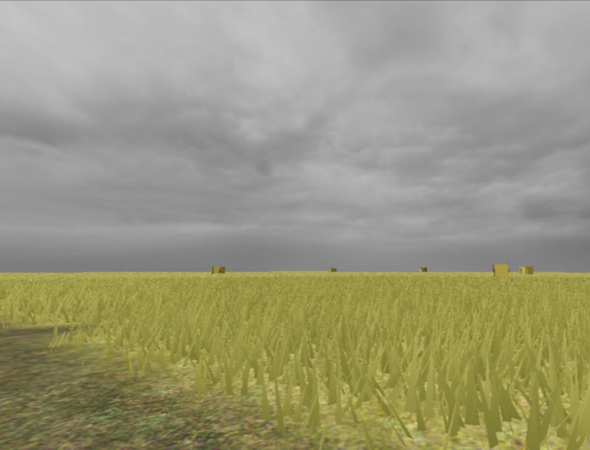 The Backrooms Decrypted: The Field of Wheat (Level 10)