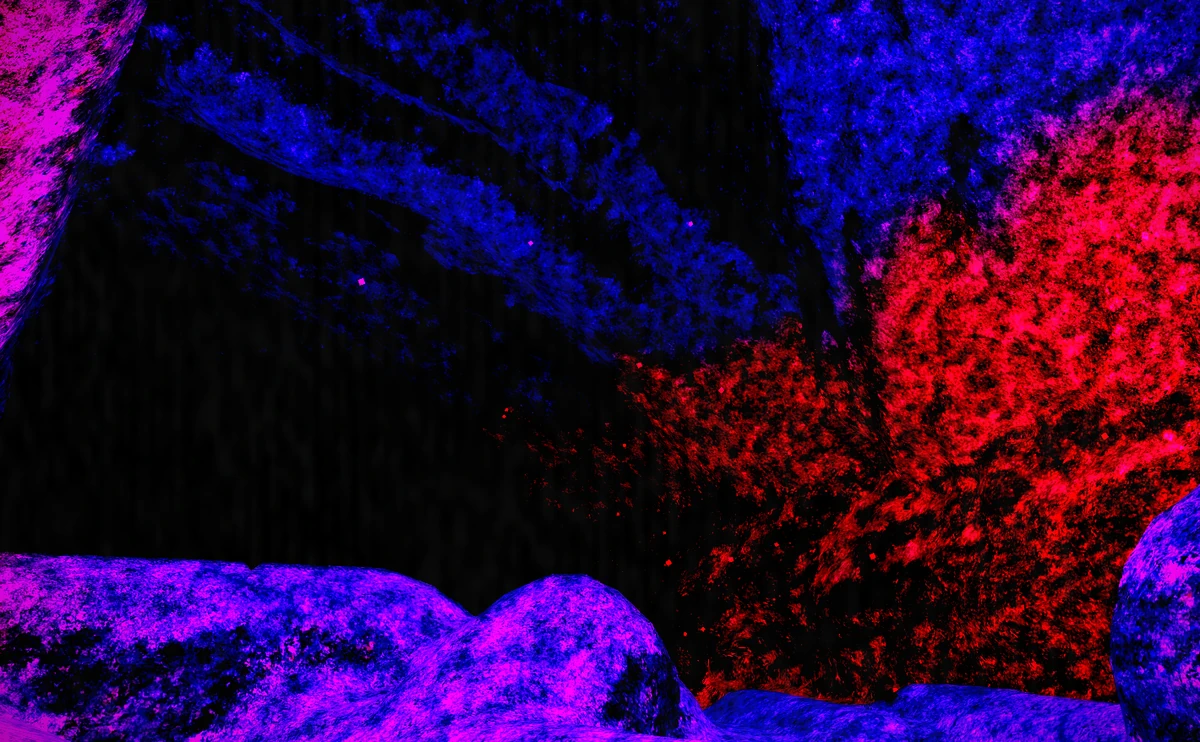 The Void The Backrooms Rebirth Wiki Fandom