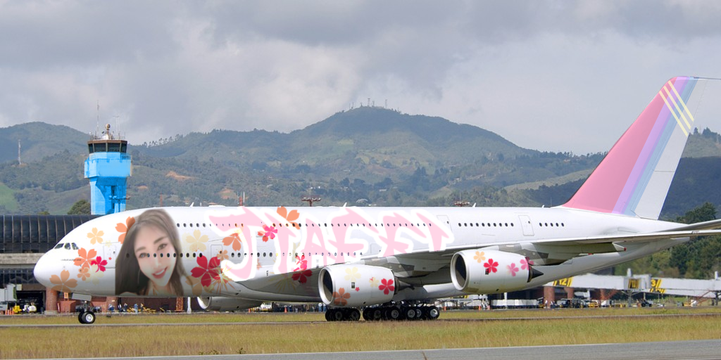Jiafei Airlines Flight 102 | The badussy war Wiki | Fandom