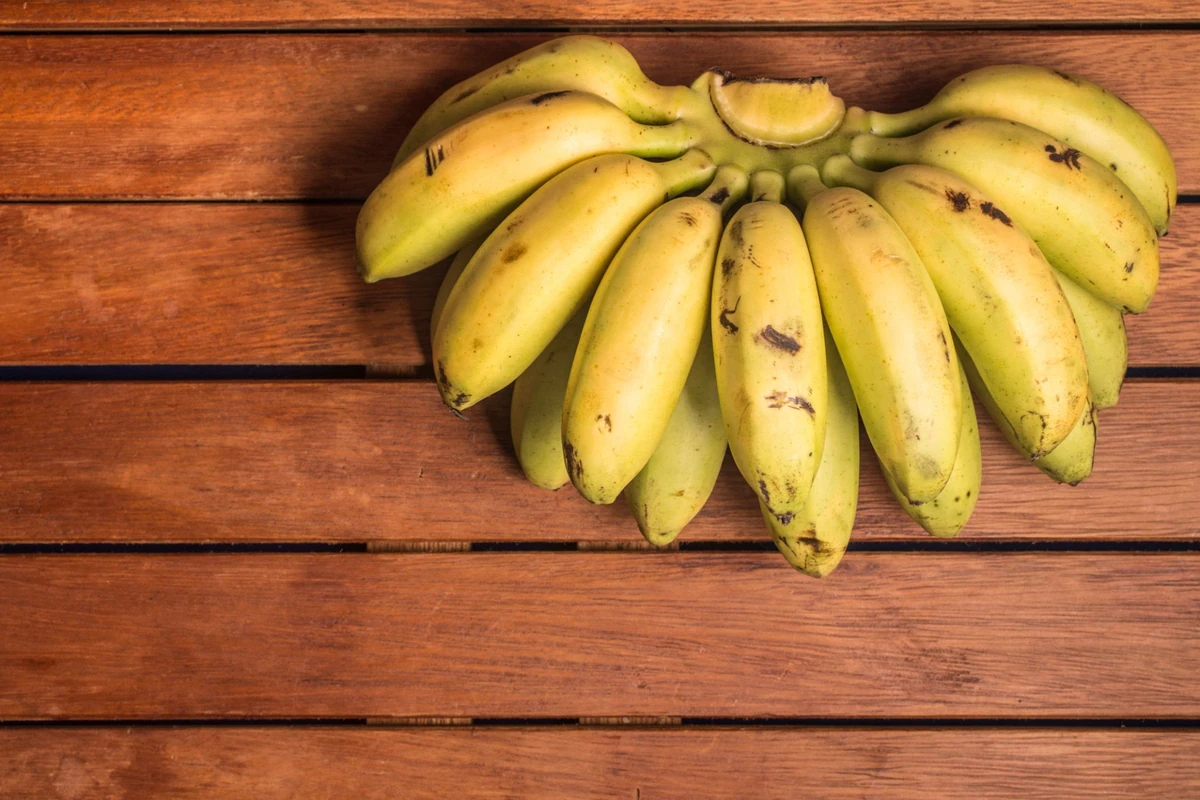 Lady Finger Banana The banana Wiki Fandom