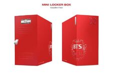 Mini Locker Box