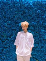 RM on Twitter: "🐳🐬🦋🐋" [2017.09.07]