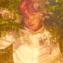 Love Yourself Her Gallery Bts Wiki Fandom