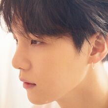 Love Yourself Tear Gallery Bts Wiki Fandom