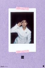 RM BE Polaroids (4)