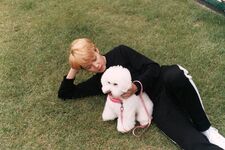 V on Twitter: "🐶 #김태횽" [2017.10.18]