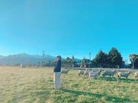 V on Twitter: "홉필름 지분율 80프로 주인공 #HappyTaehyungDay" [2020.12.29] #3