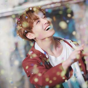 You Never Walk Alone Gallery Bts Wiki Fandom