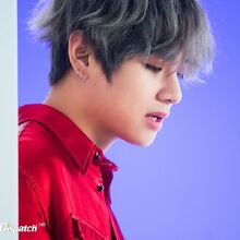 Dna Gallery Bts Wiki Fandom 7 album promotions, and will be followed by the release of three other sets of concept photos throughout this week, ending with the arrival of the album's tracklist on feb. dna gallery bts wiki fandom