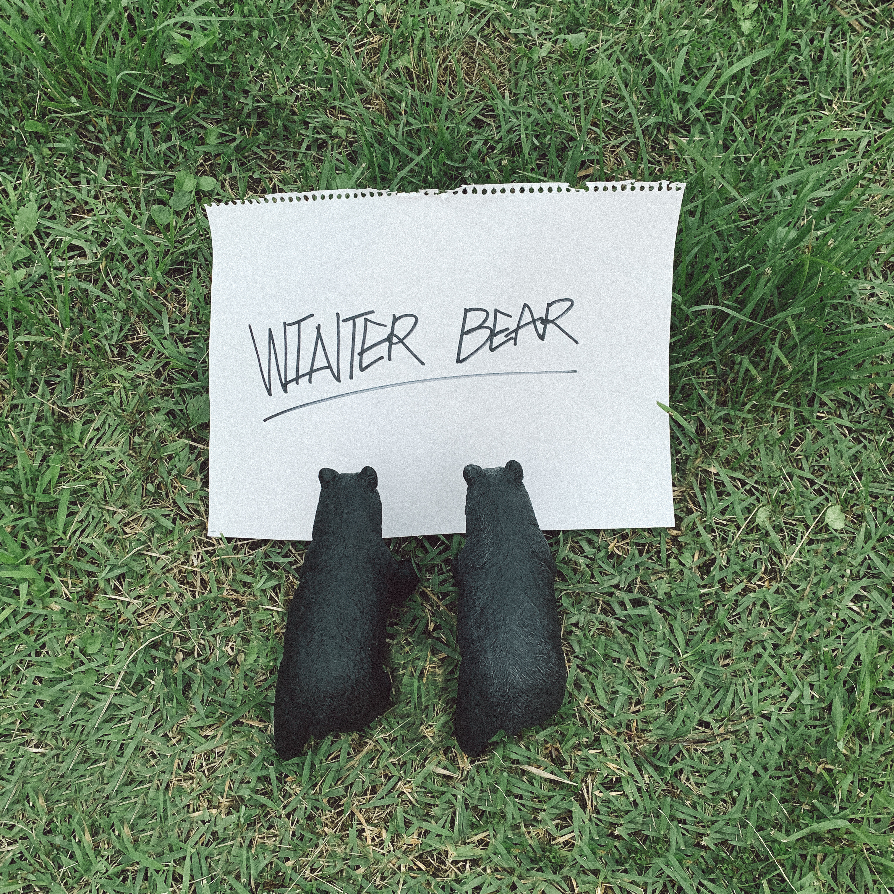 Winter Bear | BTS Wiki | Fandom