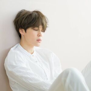 Love Yourself Tear Gallery Bts Wiki Fandom