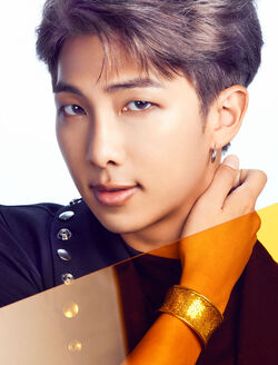 BTS FAKE LOVE/Airplane FC限定トレカ ジョングク RM BTS JUNGKOOK FAKE LOVE Airplane pt.2 JPFC Official photocard