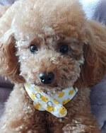 Suga's brother Instagram update (March 3, 2019)