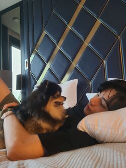 Yeontan | BTS Wiki | Fandom