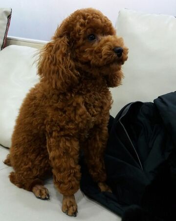 Min Holly Bts Wiki Fandom