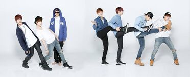 2014 BTS Festa (#9) (June 2014)