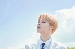 BTS Season's Greetings 2018/Gallery | BTS Wiki | Fandom