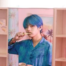 Map Of The Soul Persona Gallery Bts Wiki Fandom