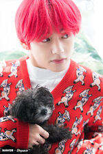 V for Naver x Dispatch #4 (December 2018)