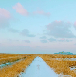 Spring Day Gallery Bts Wiki Fandom