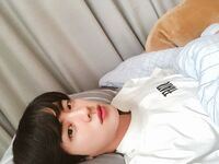 Jin on Twitter: "굿나잇" [2018.04.29]