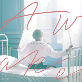 Awake (Christmas Ver.) Cover