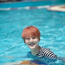 Bts Summer Package Gallery Bts Wiki Fandom
