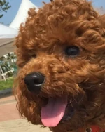 Suga's Instagram update (March 4, 2022) #1