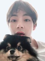 V's Twitter update (June 12, 2019)