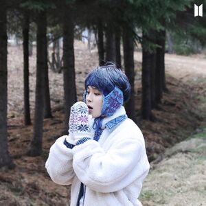 Featured image of post Jin Bts Winter Package 2021 Photoshoot