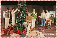 BTS 2021 Holiday Collection - Little Wishes