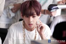 BTS Festa 2014 Photo Album (43)