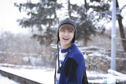 Spring Day Gallery Bts Wiki Fandom Spring Day Gallery Bts Wiki Fandom