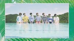 BTS Summer Package | BTS Wiki | Fandom