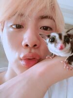 Jin's Twitter update (July 6, 2018) #3