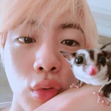 Odeng And Eomuk Bts Wiki Fandom