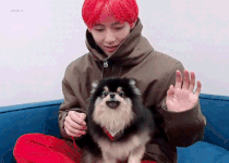 V and Yeontan Live Dec 6, 2018