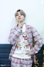 Jimin BE Comeback V live Photo Sketch (4)