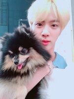 Jin's Twitter update (June 27, 2018)