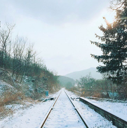 Spring Day Gallery Bts Wiki Fandom