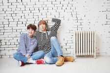 Suga and RM for the BTS Festa (June 2017)